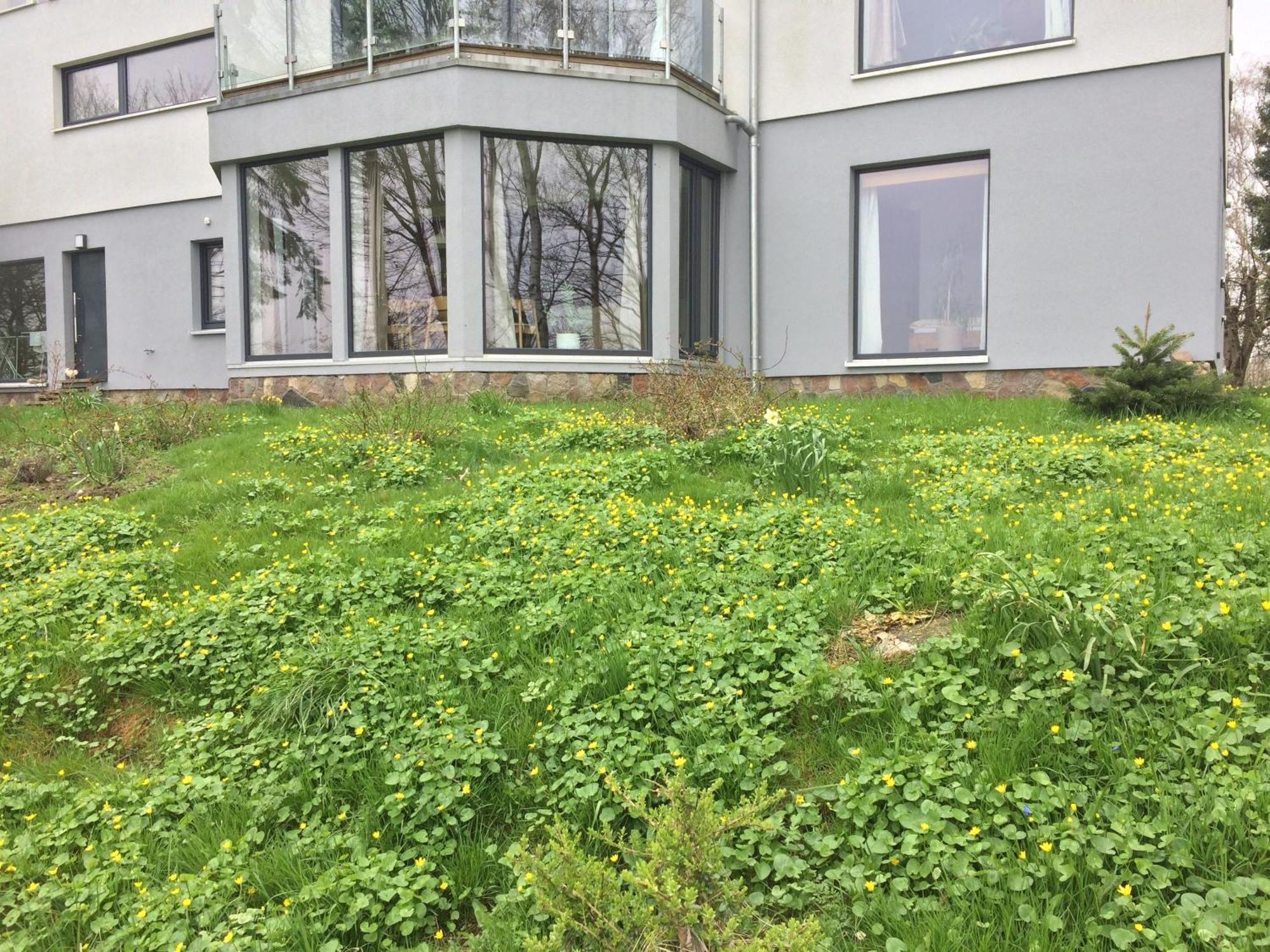 Beltblick Apartment Фехмарн Екстериор снимка